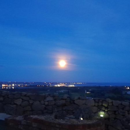 Hotel Fairy Cove At Rosemount Glamping Carlingford Exterior foto