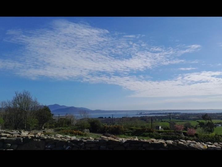 Hotel Fairy Cove At Rosemount Glamping Carlingford Exterior foto